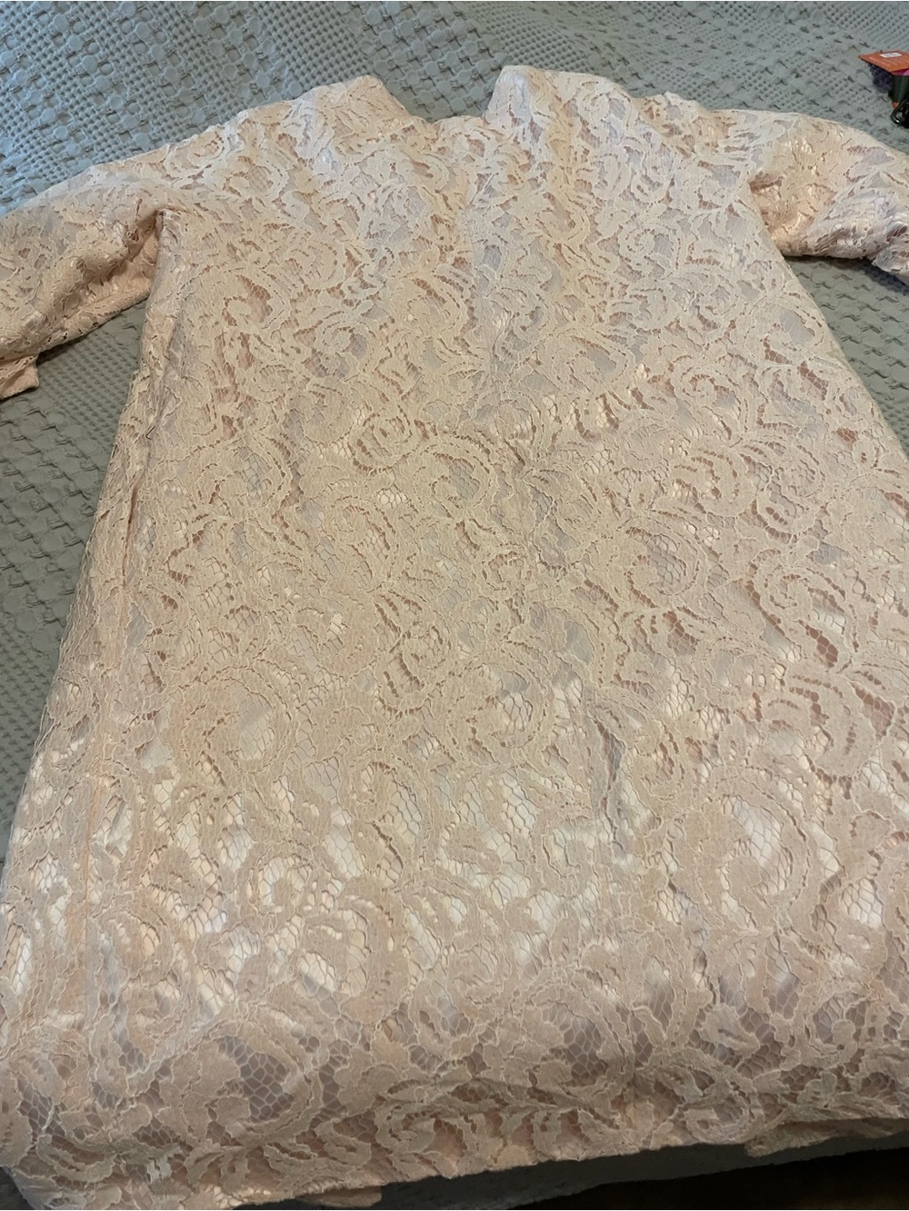 Adrianna Papell vintage Pale Blush Lace Coat Dress - Picture 6 of 8